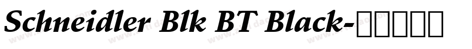 Schneidler Blk BT Black字体转换